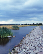 Flachwasserzone am Mittellandkanal